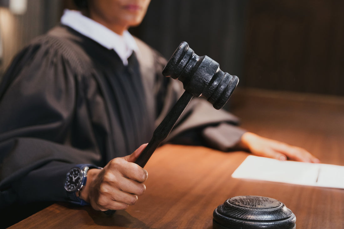 Immigration Laws 2025 in New York State